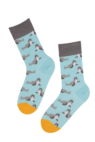sealboys-light-blue-cotton-socks-with-seals