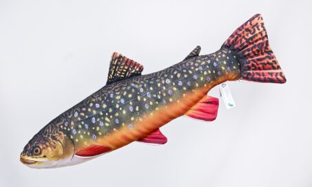 the-brook-trout