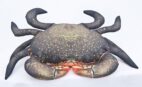 mud-crab-pillow