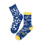 goldfish-socks