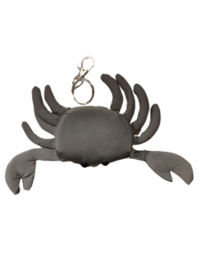 reflector-crab