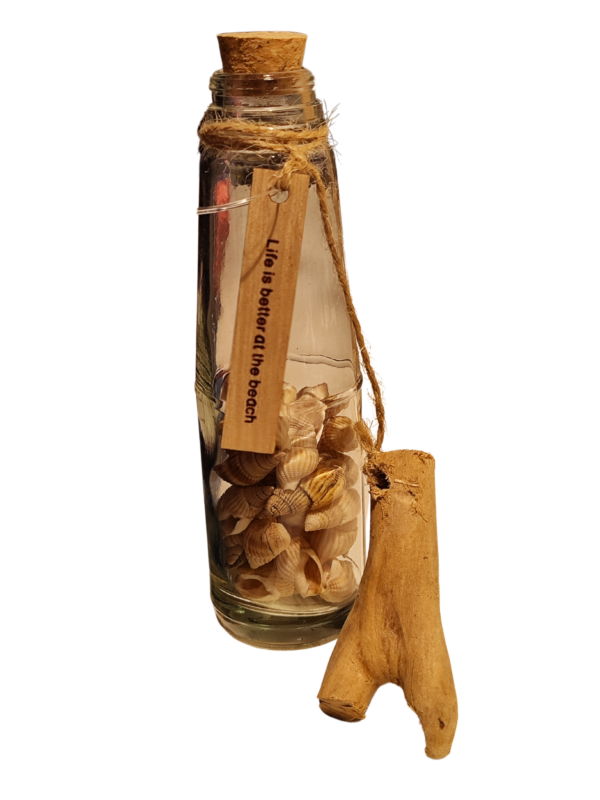 light-seashells-in-a-glass-jar