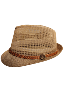 dim-brown-hat-with-brown-ribbon