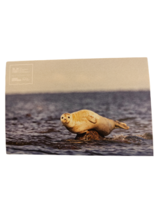 postcard-seal