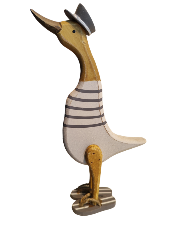sea-duck